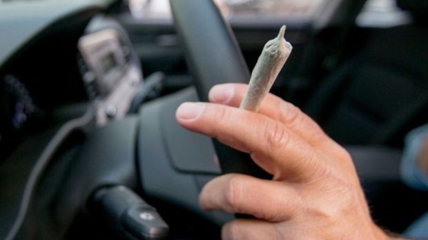 Muss Man Mit Cannabis Am Steuer Den Fuhrerschein Abgeben