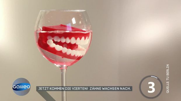 Galileo Video Jetzt Kommen Die Vierten Zahne Wachsen Nach