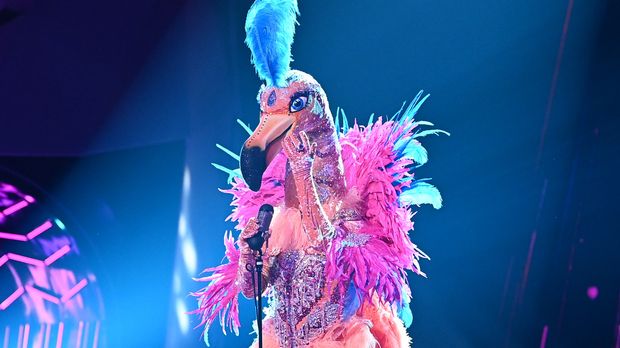 Der Flamingo Singt You Raise Me Up Josh Groban The Masked Singer