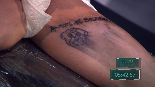 Mein Bester Feind Video Parcours Sebastian All Mops Are Bastards Prosieben