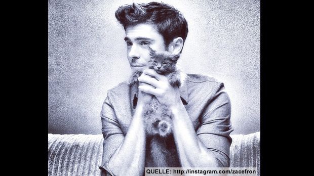 Zac-Efron-mit-Katze-Instagram - Bildquelle: http://instagram.com/zacefron