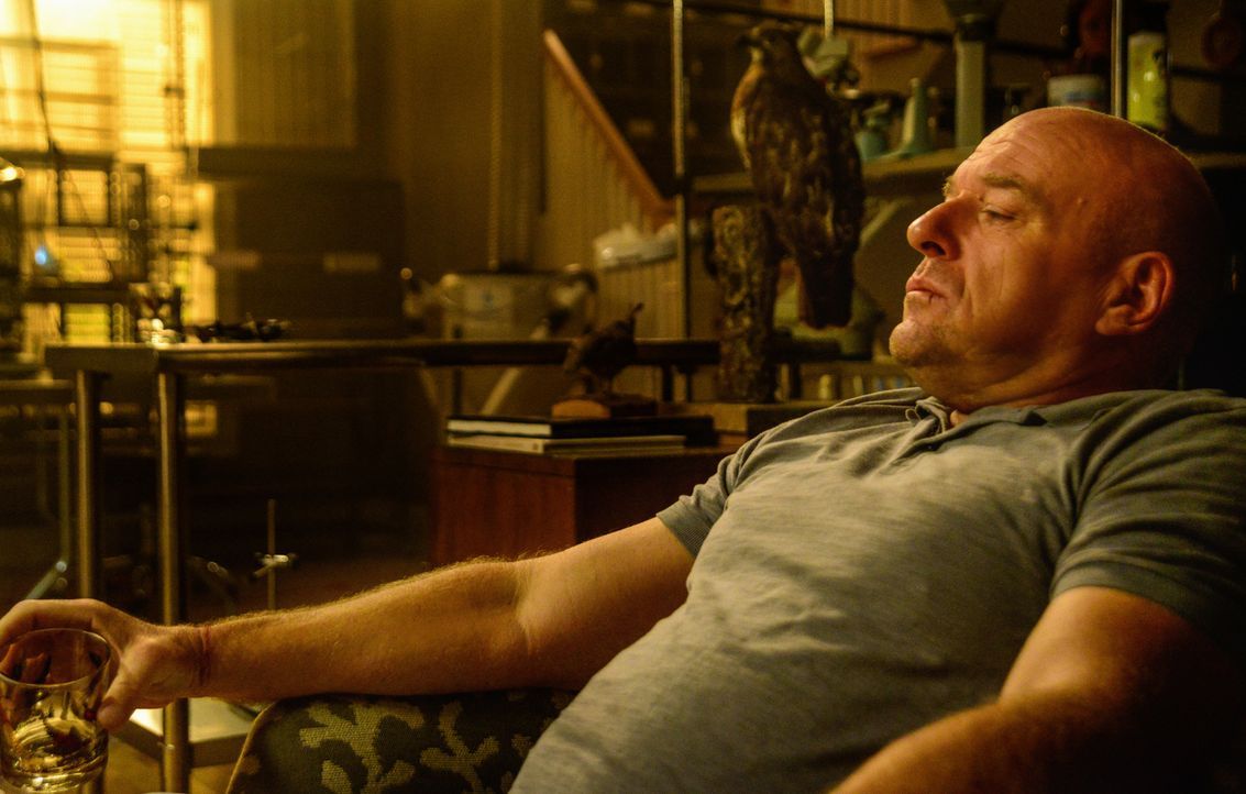 Big Jim (Dean Norris) sammelt auf Bird Island Kraft für den nächsten Schlag gegen Christine und die Kuppel. Aber was wird er als nächstes tun? - Bildquelle: Brownie Harris 2015 CBS Studios Inc.