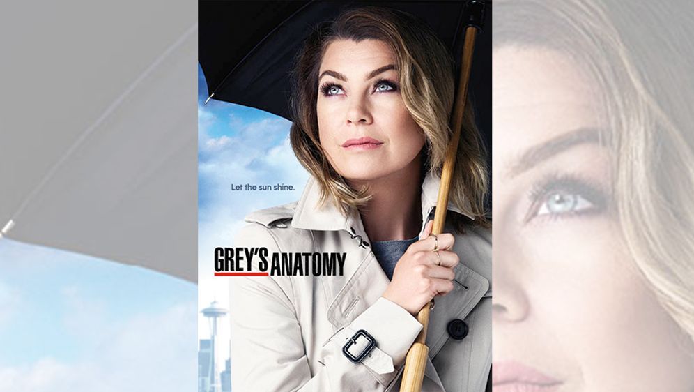 Greys Anatomy Staffel 12 Online