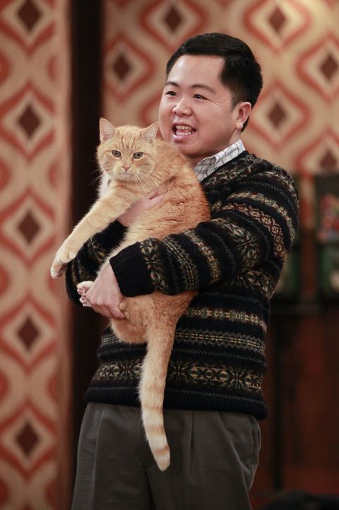 Noch ahnt Han (Matthew Moy) nicht, dass die Katze von Max und Caroline ein Geheimnis hütet ... - Bildquelle: Warner Bros. Television