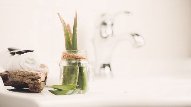 Hausmittel Hitzeschutz Haare: Aloe Vera