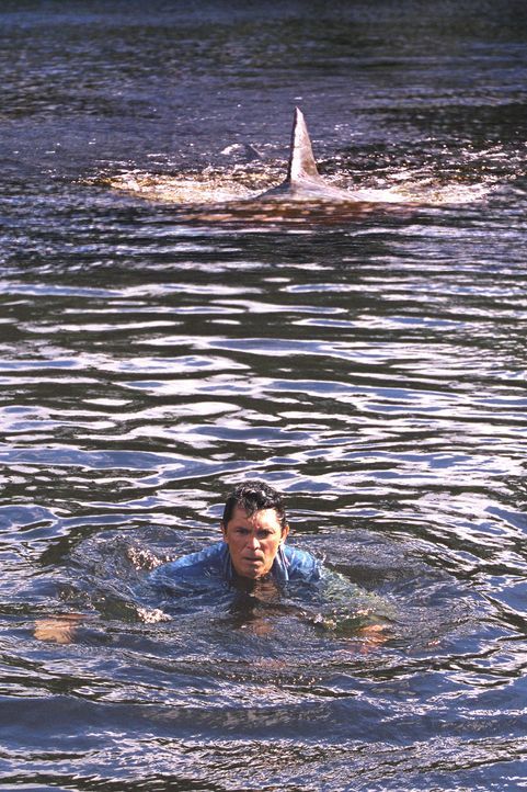 Was weder Gauner noch Geologen ahnen: Ein Menschen fressender Bullenhai, der gefährlichste Hai der Welt, der im Süßwasser lebt, hat hier sein Revier... - Bildquelle: 2003 Sony Pictures Television Inc. All Rights Reserved.