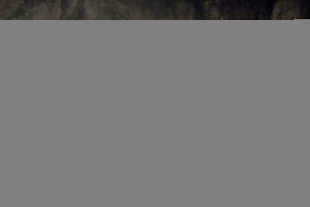 Als neuer Champion der Gladiatoren nimmt Spartacus seine Bestimmung als Anführer wahr. Er befiehlt Crixus (Manu Bennett, r.), sich vorerst zu schon... - Bildquelle: 2010 Starz Entertainment, LLC