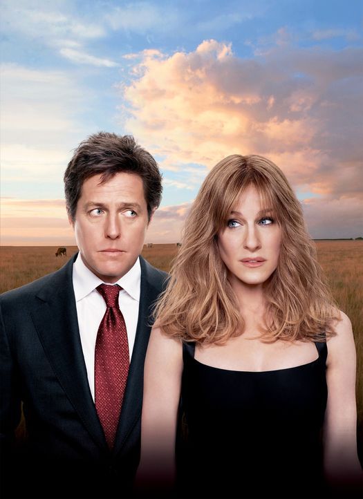 Seit drei Monaten lebt das früher einmal glückliche Ehepaar Morgan getrennt, weil Jurist Paul (Hugh Grant, l.) Immobilienmaklerin Meryl (Sarah Jessi... - Bildquelle: 2009 Columbia Pictures Industries, Inc. and Beverly Blvd LLC. All Rights Reserved.