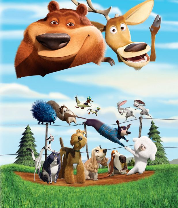 Ein aufregendes Abenteuer wartet auf Hirsch Elliot (oben r.), Grizzlie Boog (oben l.) und ihre Freunde. - Bildquelle: 2008 Sony Pictures Animation Inc. All Rights Reserved.