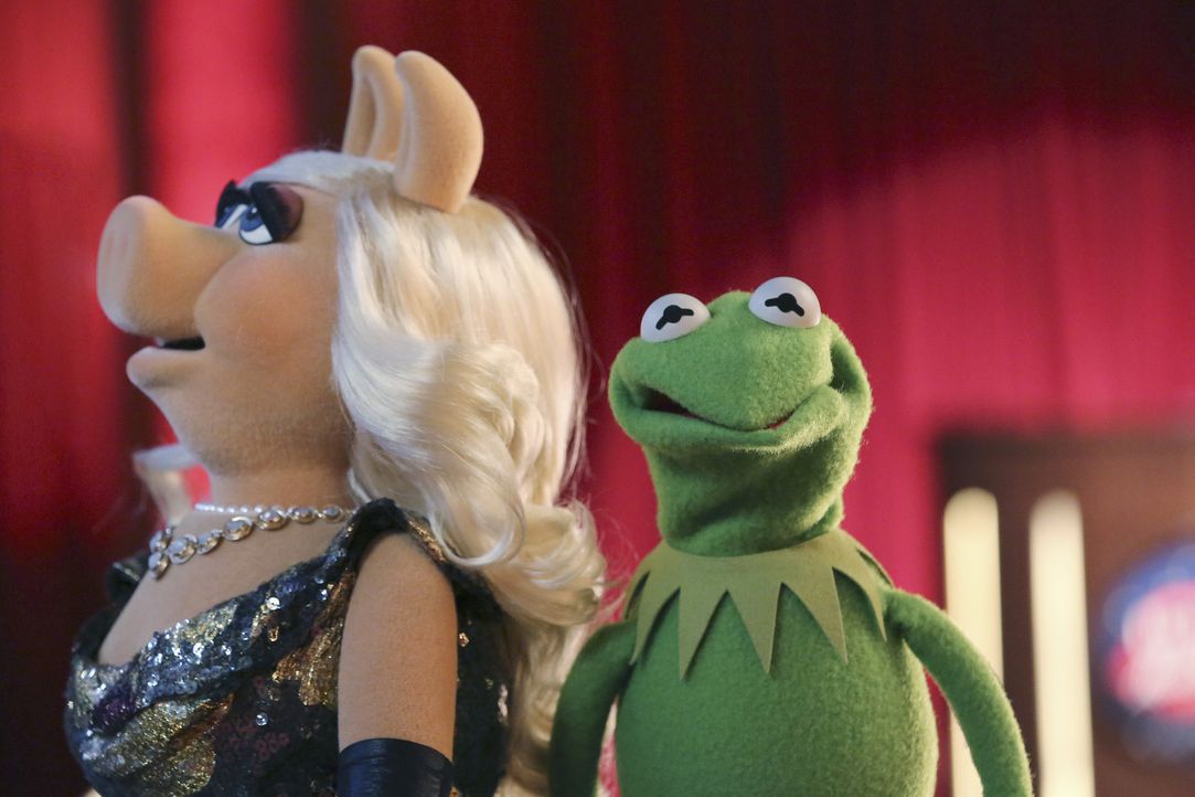 Kermit (r.) braucht die Hilfe von Miss Piggy (l.), um das passende Geschenk für Denise zu finden. Doch kann sie ihm wirklich helfen? - Bildquelle: Carol Kaelson ABC Studios
