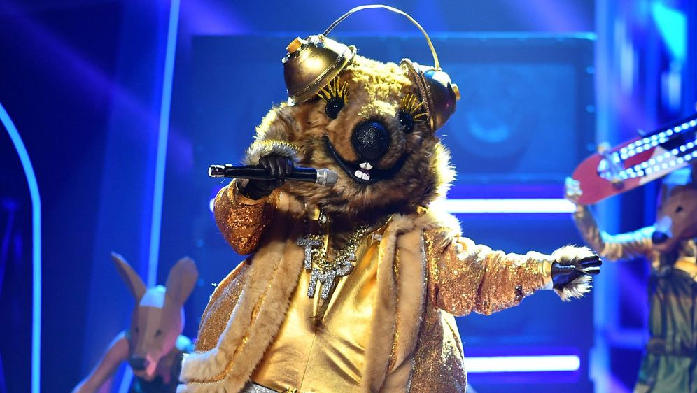 The Masked Singer 2021: Das sind alle Indizien rund um die ...