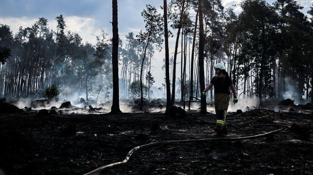 Verheerende Brände in Brandenburg und Sachsen