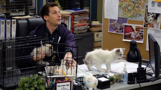 Brooklyn Nine-nine - Brooklyn Nine-nine - Kätzcheneinheit, Strammstehen