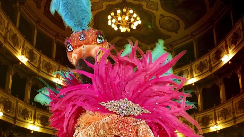 "The Masked Singer" 2021: Neues exklusives Indiz zum Flamingo