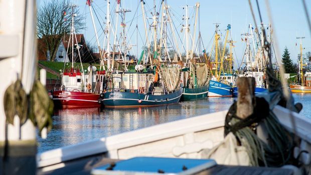 Dieselpreis zu hoch: Nord- und Ostseefischer bleiben vorerst in Häfen