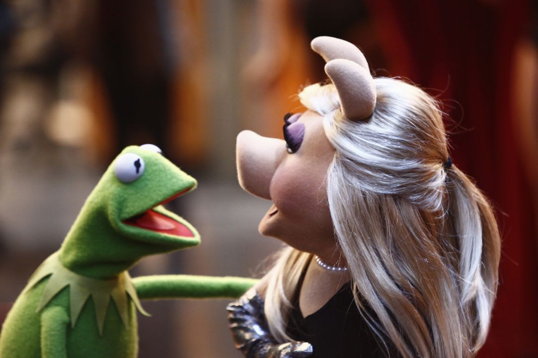 Nachdem sich Miss Piggy (r.) ein Bein gebrochen hat, muss Kermit (l.) alles geben, damit er sie ins Krankenhaus bekommt ... - Bildquelle: ABC Studios