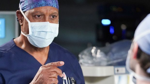 Grey's Anatomy - Grey's Anatomy - Die Webber-methode