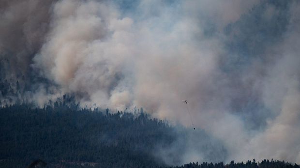 Feuerwalze überrollt kanadische Ortschaft