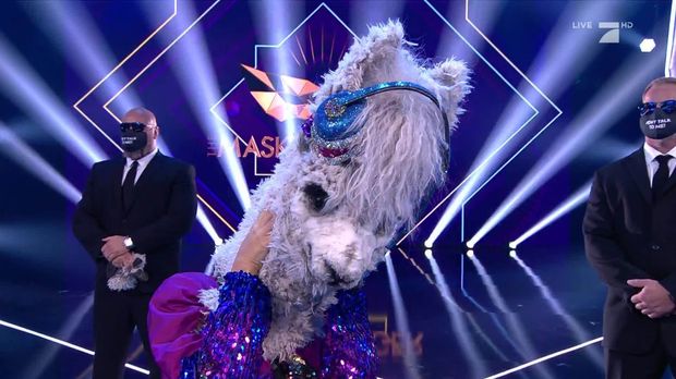 The Masked Singer: Sylvie Meis ist das Alpaka