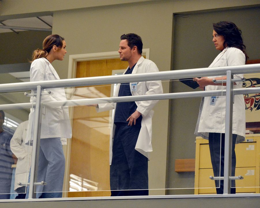 Sind von der Anti-Beziehungs-Politik im Krankenhaus alles andere als begeistert: Jo (Camilla Luddington, l.), Alex (Justin Chambers, M.) und Callie... - Bildquelle: ABC Studios