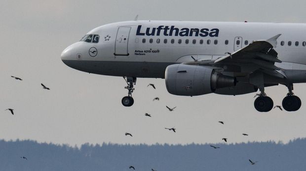 Lufthansa erholt sich langsam von Corona