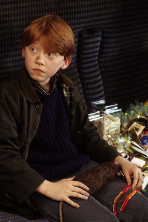 In Ron Weasley (Rupert Grint) findet Harry Potter einen richtig guten Freund, der ihm bei allen Problemen mutig beisteht ... - Bildquelle: Warner Bros. Pictures