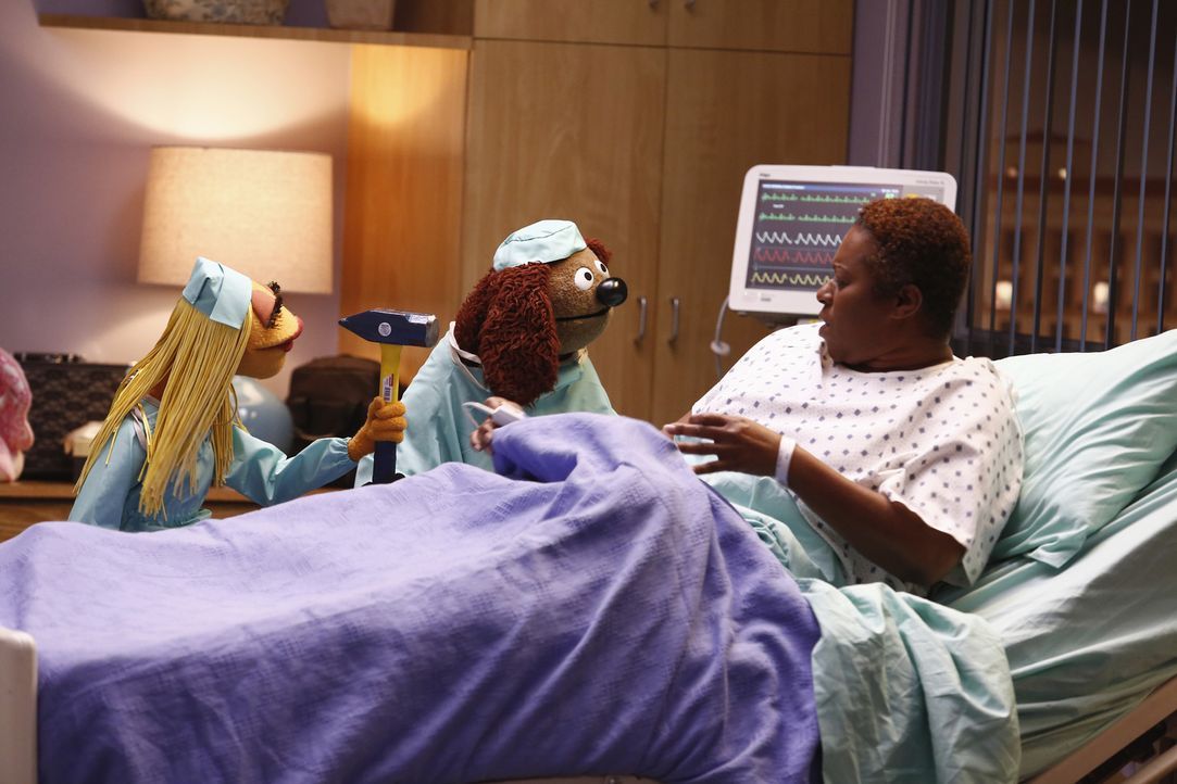 Als die Show von Miss Piggy aus dem Krankenhaus gesendet wird, kümmern sich Janice (l.) und Rowlf (M.) auf ihre Art um eine Patientin (Treisa Gary,... - Bildquelle: ABC Studios