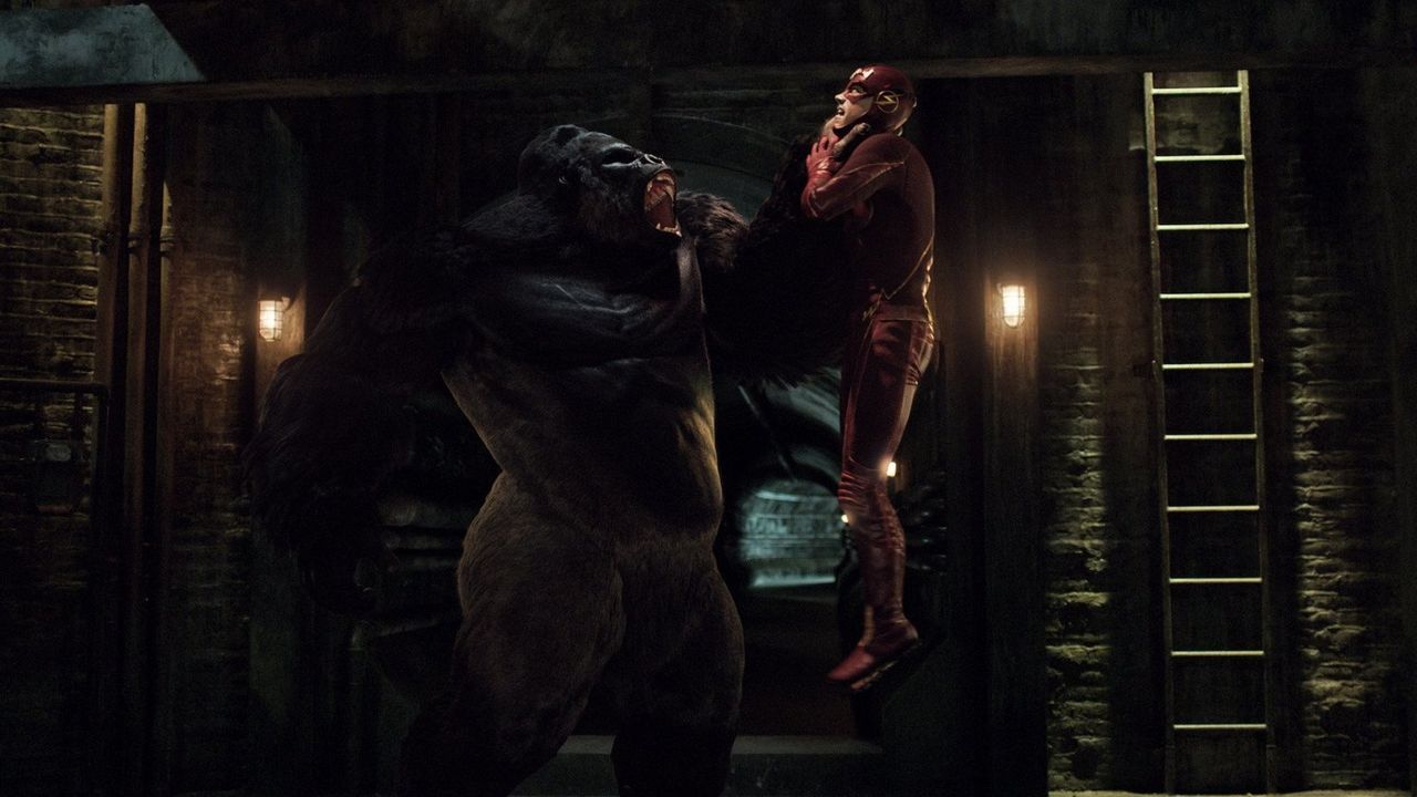 Hat Barry alias The Flash (Grant Gustin) überhaupt eine Chance gegen einen ganz besonders talentierten Gorilla? - Bildquelle: Warner Brothers.