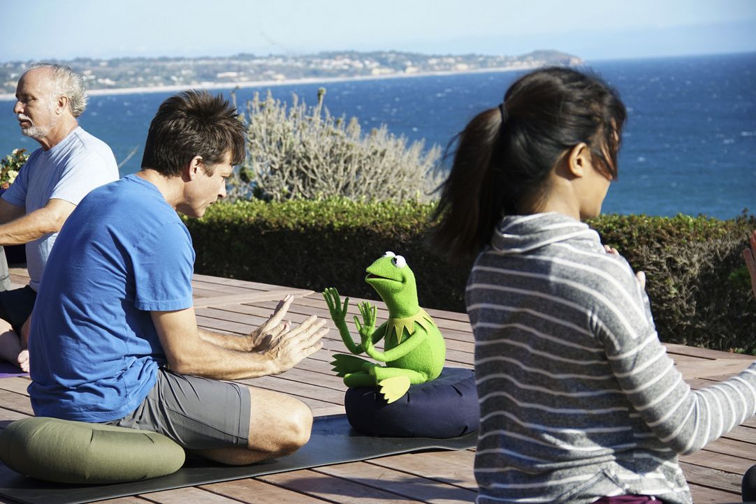 Kermit (2.v.r.) nimmt sich vom stressigen Alltag eine Auszeit. Dabei trifft er zufällig auf seinen Freund Jason Bateman (2.v.l.). Doch können sie do... - Bildquelle: Andrea McCallin ABC Studios