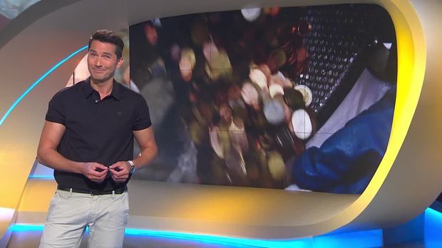 Galileo - Galileo - Montag: Geld - Was Ist Erlaubt Und Was Nicht?