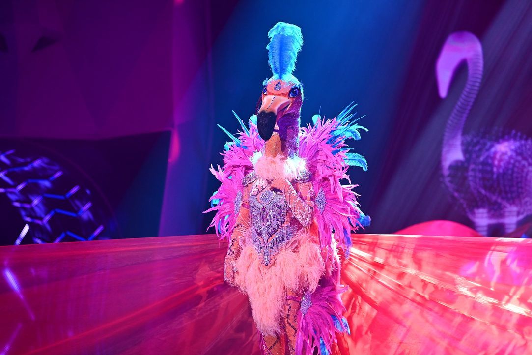 Der Flamingo - Bildquelle: Willi Weber ProSieben / Willi Weber