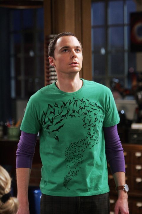 Eine neue Mieterin zieht im Haus ein, und alle außer Sheldon (Jim Parsons) sind von ihr sofort angetan ... - Bildquelle: Warner Bros. Television