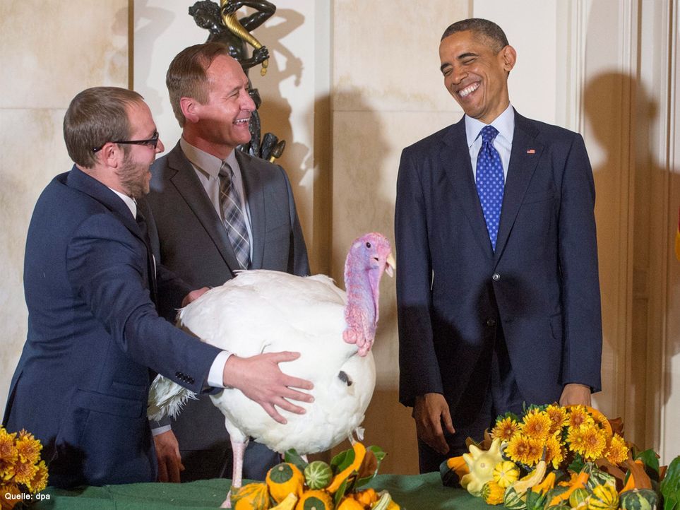 Barack-Obama-Thanksgiving-Turkey-14-11-26-dpa - Bildquelle: dpa