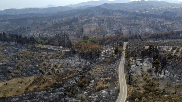 Leichte Besserung in Waldbrandgebieten