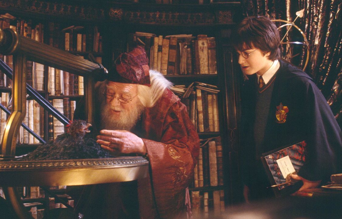 Muss neben dem Schulalltag auch noch die Welt der guten Zauberer und Hexen vor dem Untergang bewahren: Harry Potter (Daniel Radcliffe) ... - Bildquelle: Warner Bros. Pictures