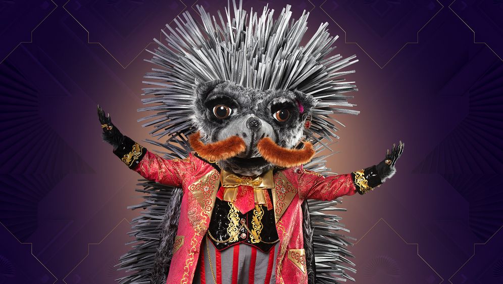 Der Igel The Masked Singer Switzerland