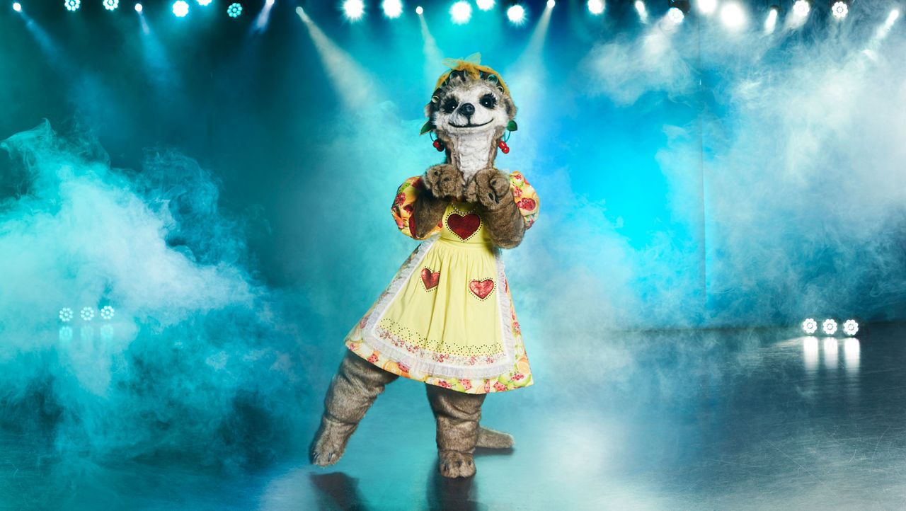Das Erdmännchen - Alle Bilder | The Masked Singer