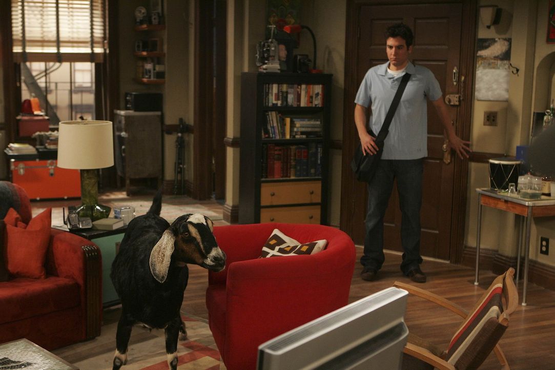 Ted (Josh Radnor) bekommt tierischen Besuch ... - Bildquelle: 20th Century Fox International Television