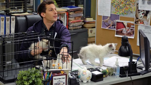 Brooklyn Nine-nine - Brooklyn Nine-nine - Staffel 3 Episode 19: Kätzcheneinheit Strammstehen!