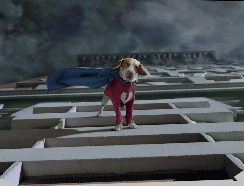Der süße Shoeshine mutiert zum Superhund ... - Bildquelle: Walt Disney Pictures.  All rights reserved