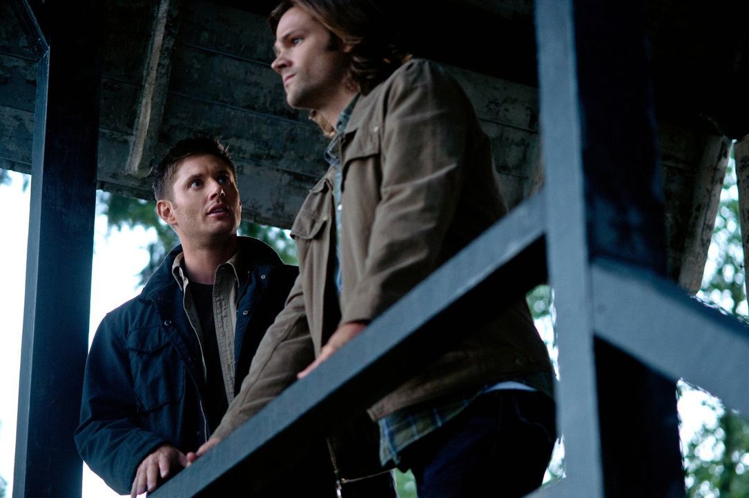 Als Sam (Jared Padalecki, r.) und Dean (Jensen Ackles, l.) erkennen, dass Kevin ihre Hilfe braucht - es könnte bereits zu spät sein ... - Bildquelle: Warner Bros. Television