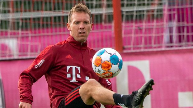 100 Tage im Amt: Viel Lob für Nagelsmann