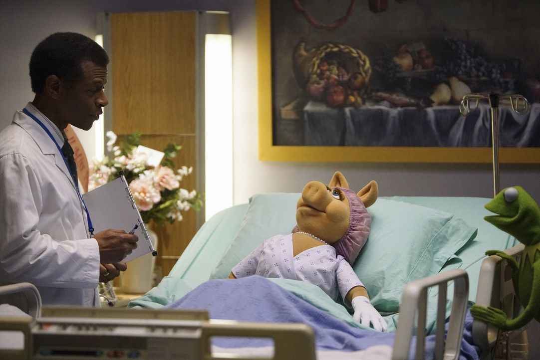 Kermit (r.) und Onkel Tödlich haben es geschafft, Miss Piggy (M.) ins Krankenhaus zu bekommen. Doch als der Arzt (Phil Lamarr, l.) ihr mitteilt, das... - Bildquelle: ABC Studios