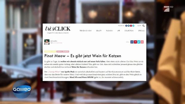Galileo Finde Die Fake News Prosieben