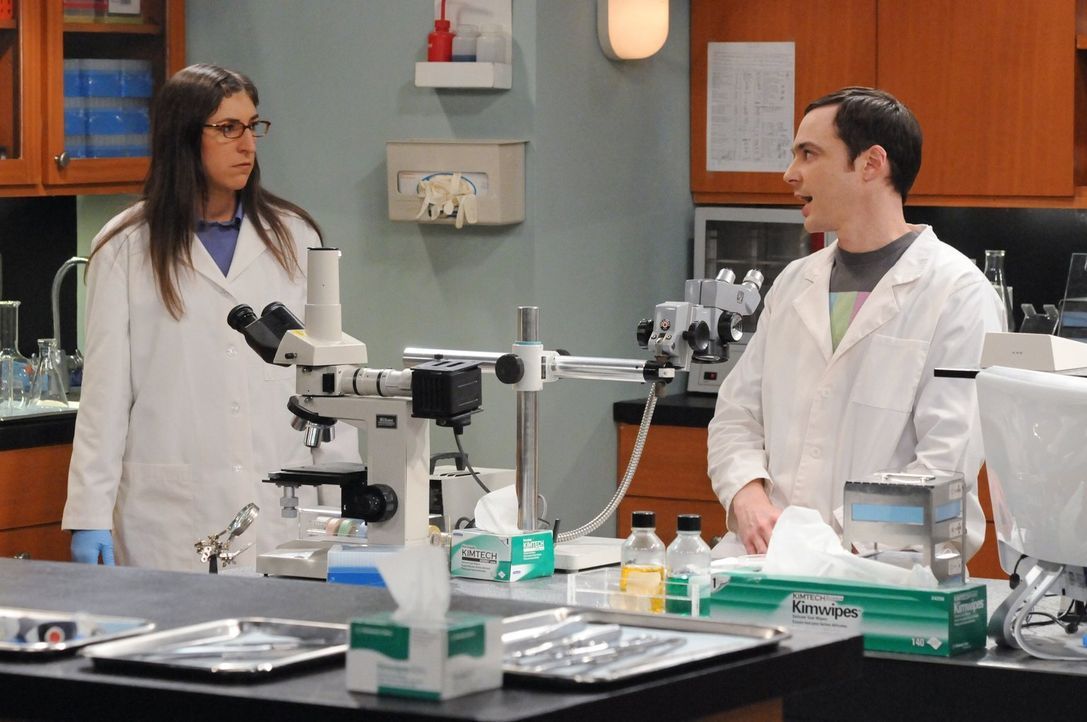 Als Sheldon (Jim Parsons, r.) dazu gezwungen wird, Urlaub zu machen, beschließt er, zusammen mit Amy (Mayim Bialik, l.) in ihrem Labor zu arbeiten .... - Bildquelle: Warner Bros. Television