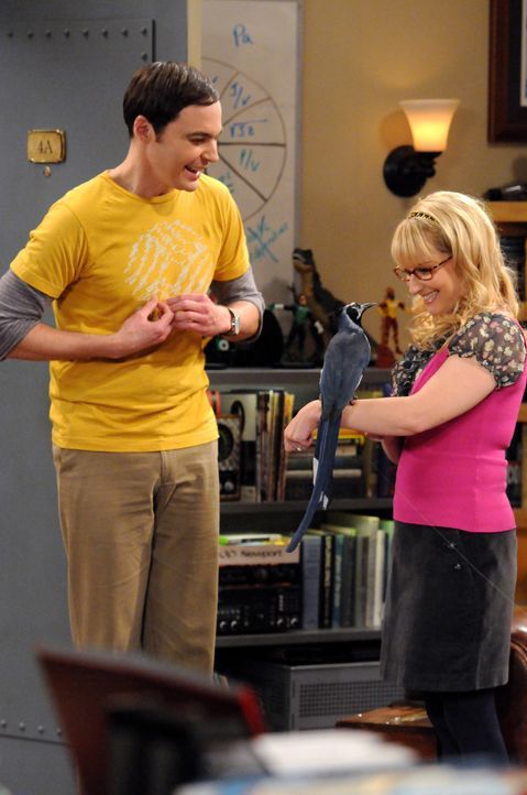 Zwei komische Vögle: Sheldon (Jim Parsons, l.) und Bernadette (Melissa Rauch, r.) ... - Bildquelle: Warner Bros. Television