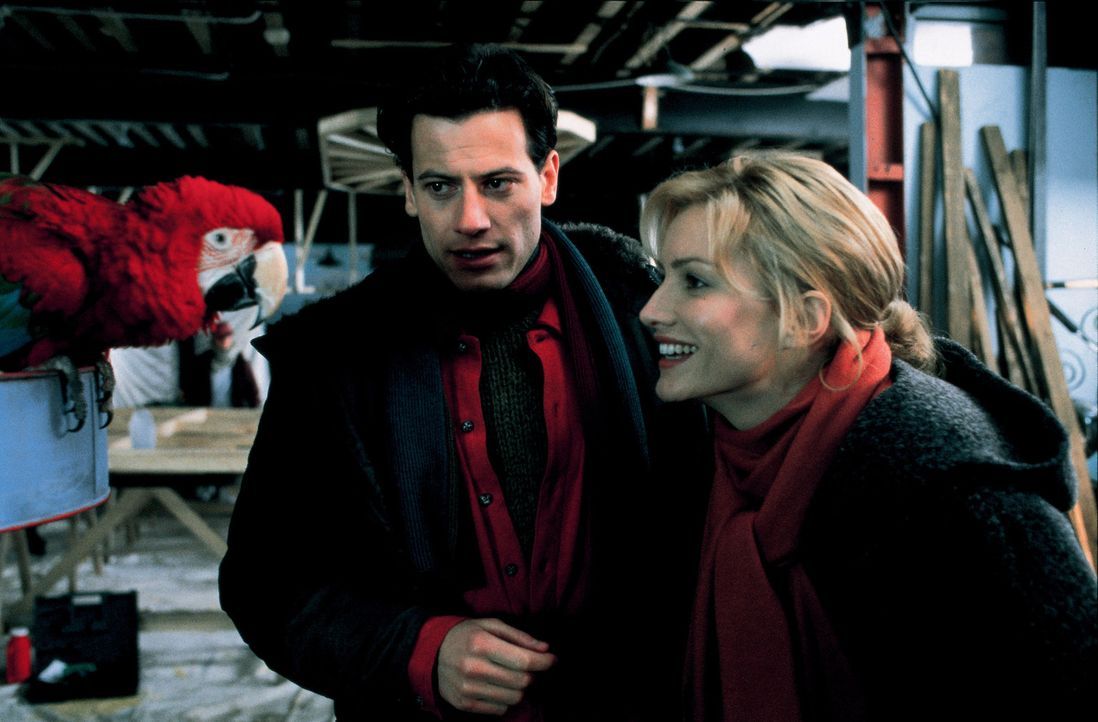Kevin Sheperd (Ioan Gruffudd, l.) betreibt ein Hundeasyl. Hier macht Chloe Simon (Alice Evans, r.) Bekanntschaft mit einem Papagei, der glaubt er se... - Bildquelle: Walt Disney Pictures