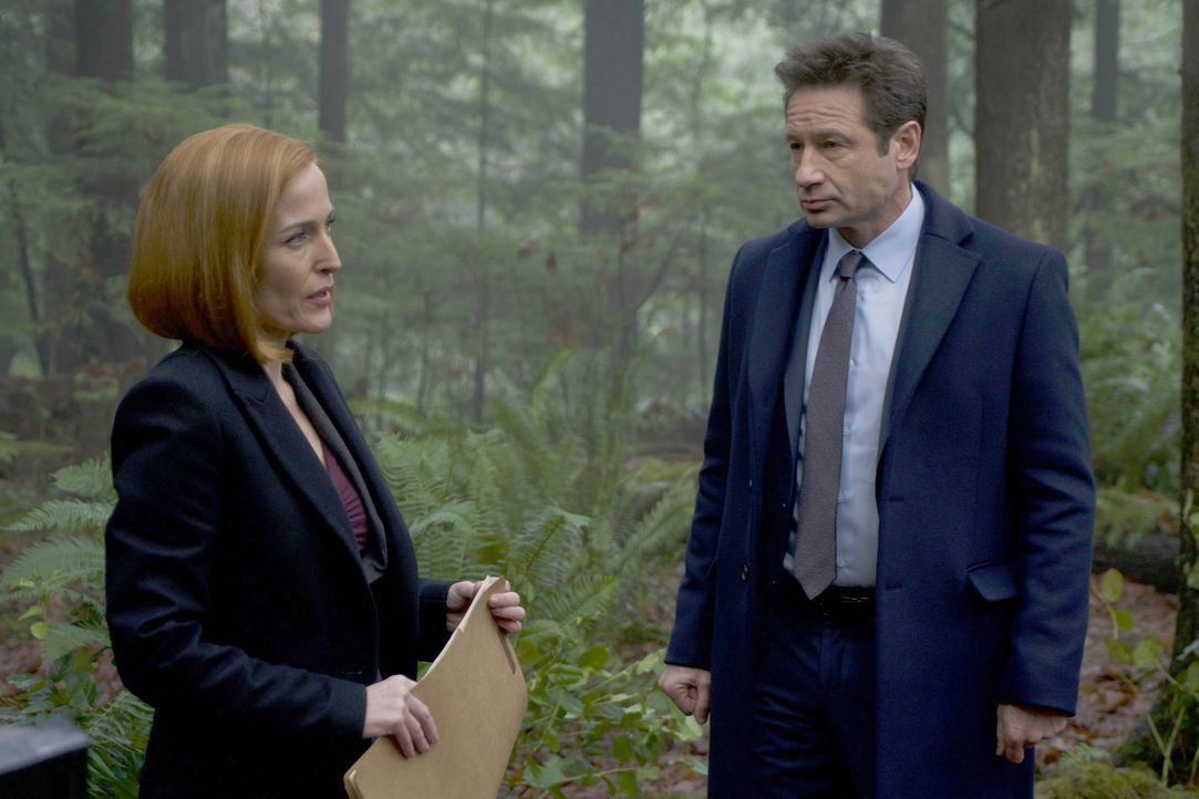 Scully (Gillian Anderson, l.) kann zunächst nicht glauben, dass an dem Tod eine Jungen wirklich Hexen schuld sein sollen, doch Mulder (David Duchovn... - Bildquelle: Shane Harvey 2018 Fox and its related entities.  All rights reserved.