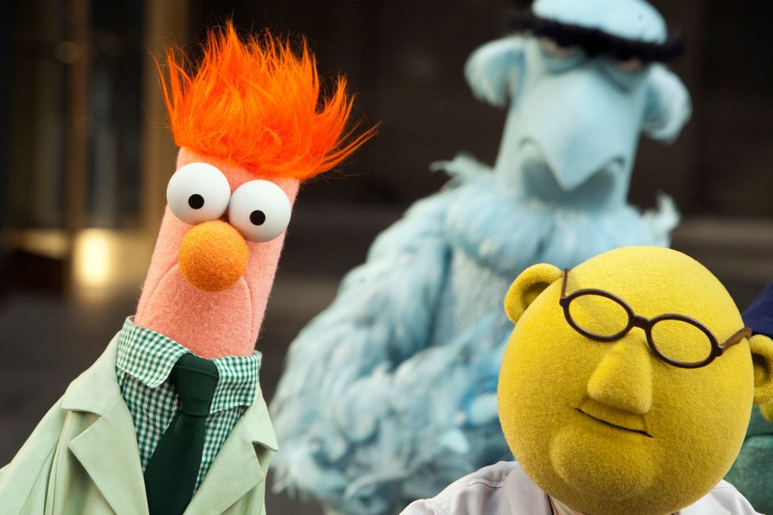 Mit Leib und Seele versuchen Beaker (l.), Sam the Eagle (hinten) und Dr. Bunsen Honeydew (r.) die Muppets-Show zurück ins Leben zu rufen. Mit Erfolg? - Bildquelle: The Muppets Studio, LLC. All rights reserved