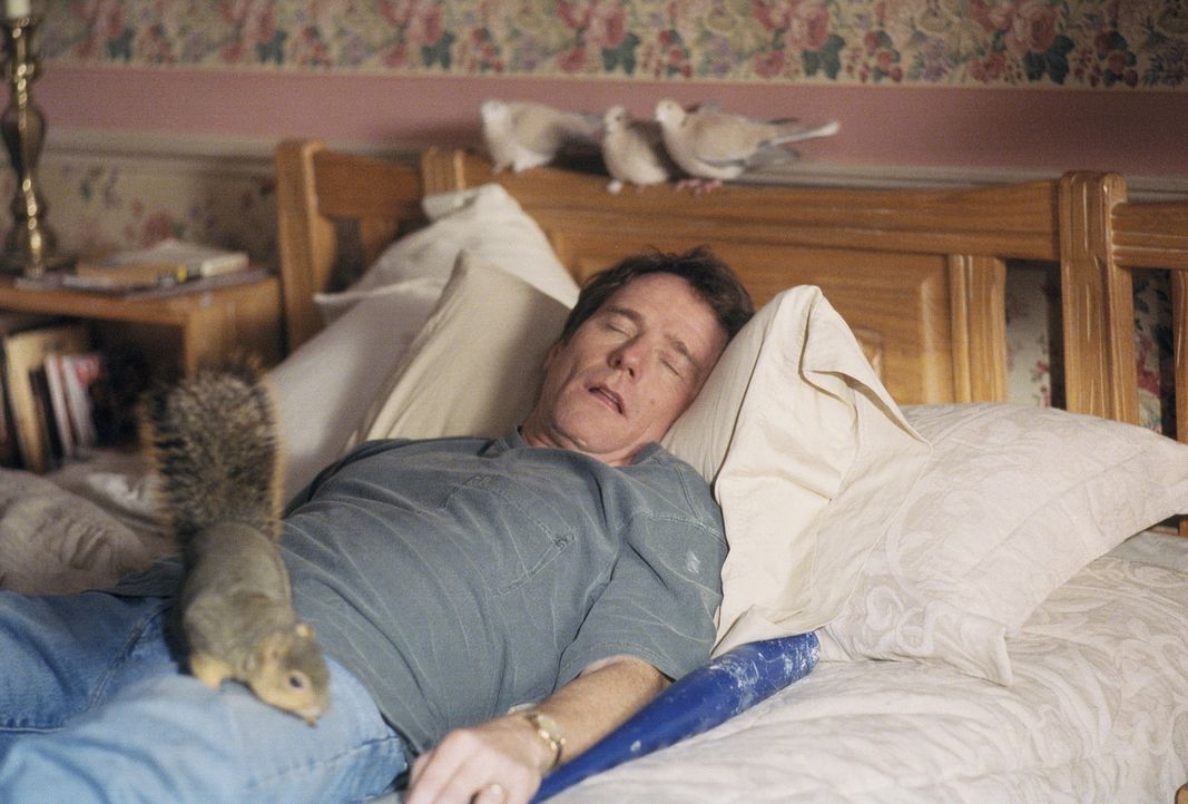 Vater Hal (Bryan Cranston) gönnt sich ein Nickerchen ... - Bildquelle: TM +   2000 Twentieth Century Fox Film Corporation. All Rights Reserved.